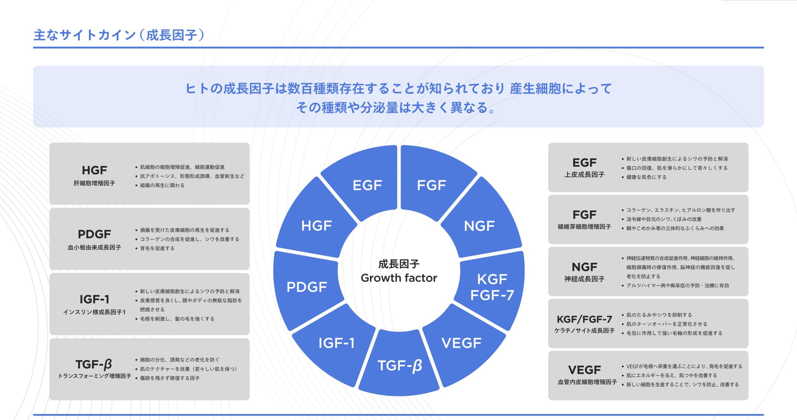 exstem Rise Up Cream for Men 資料05