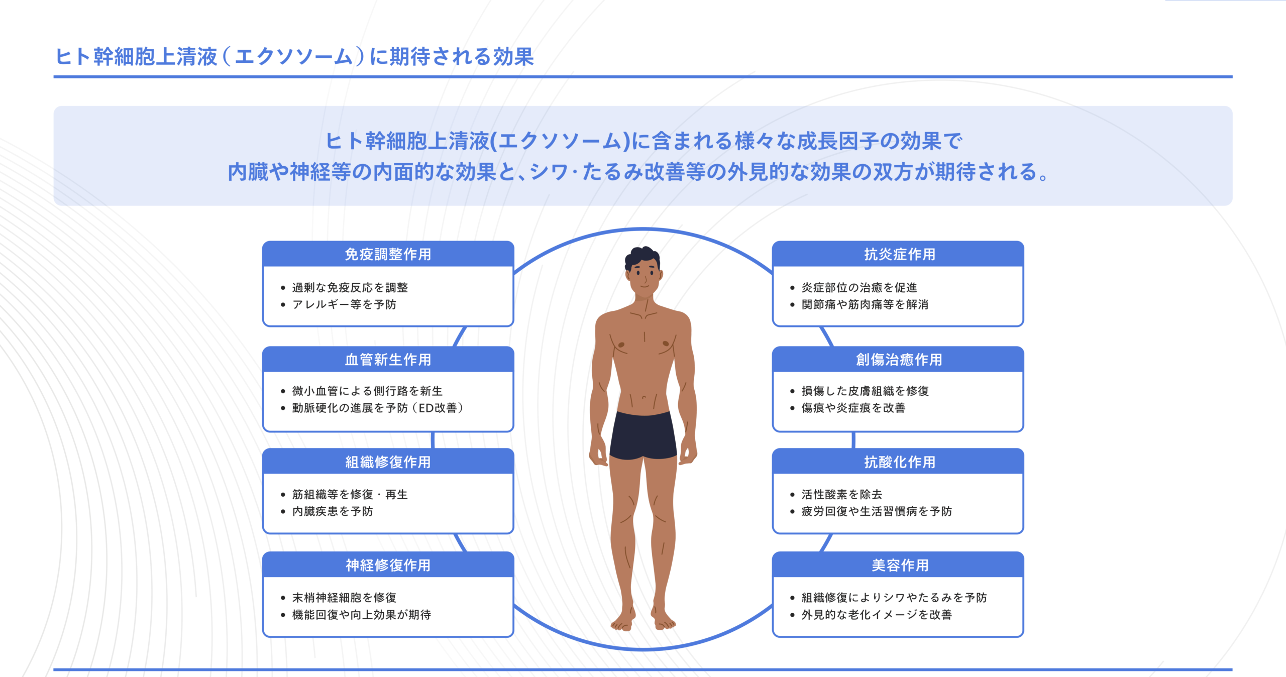 exstem Rise Up Cream for Men 資料06