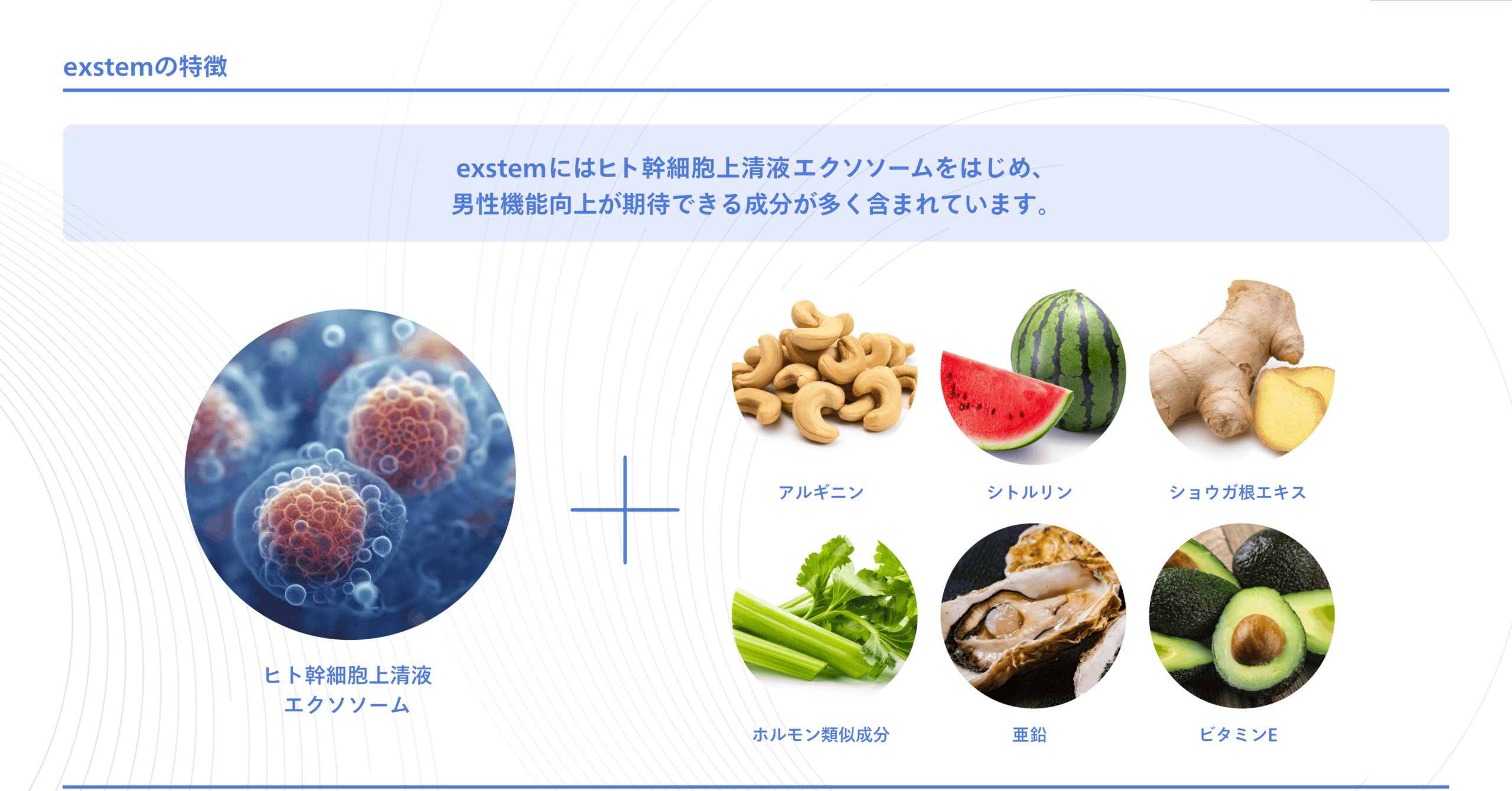 exstem Rise Up Cream for Men 資料10