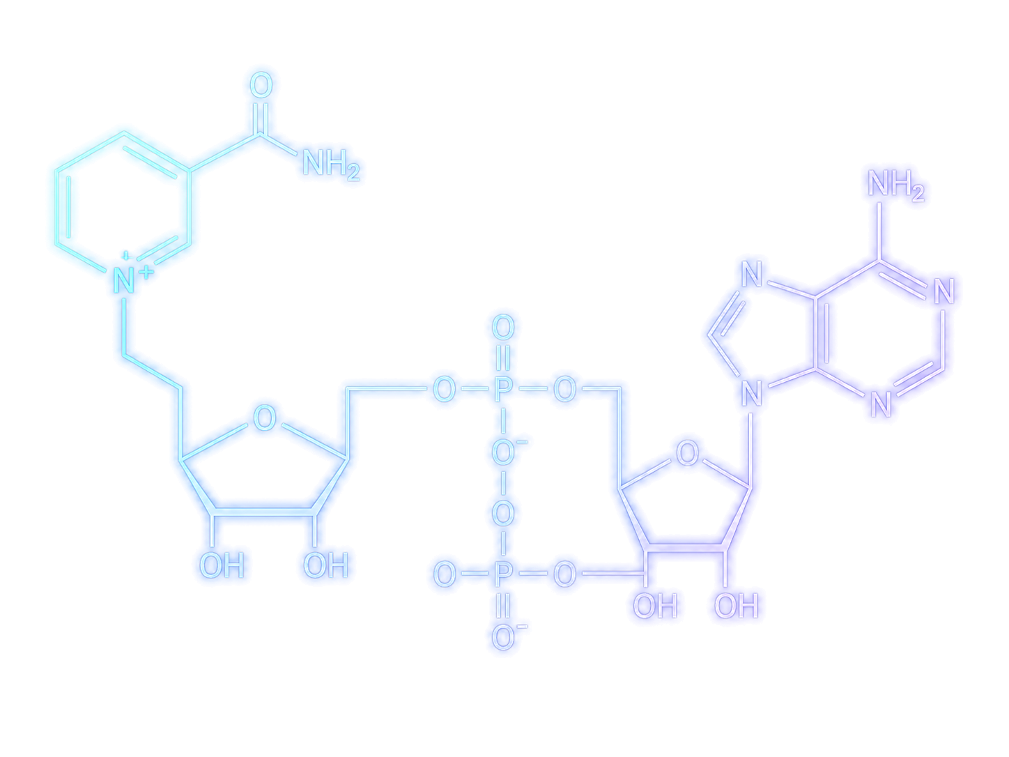 molecule